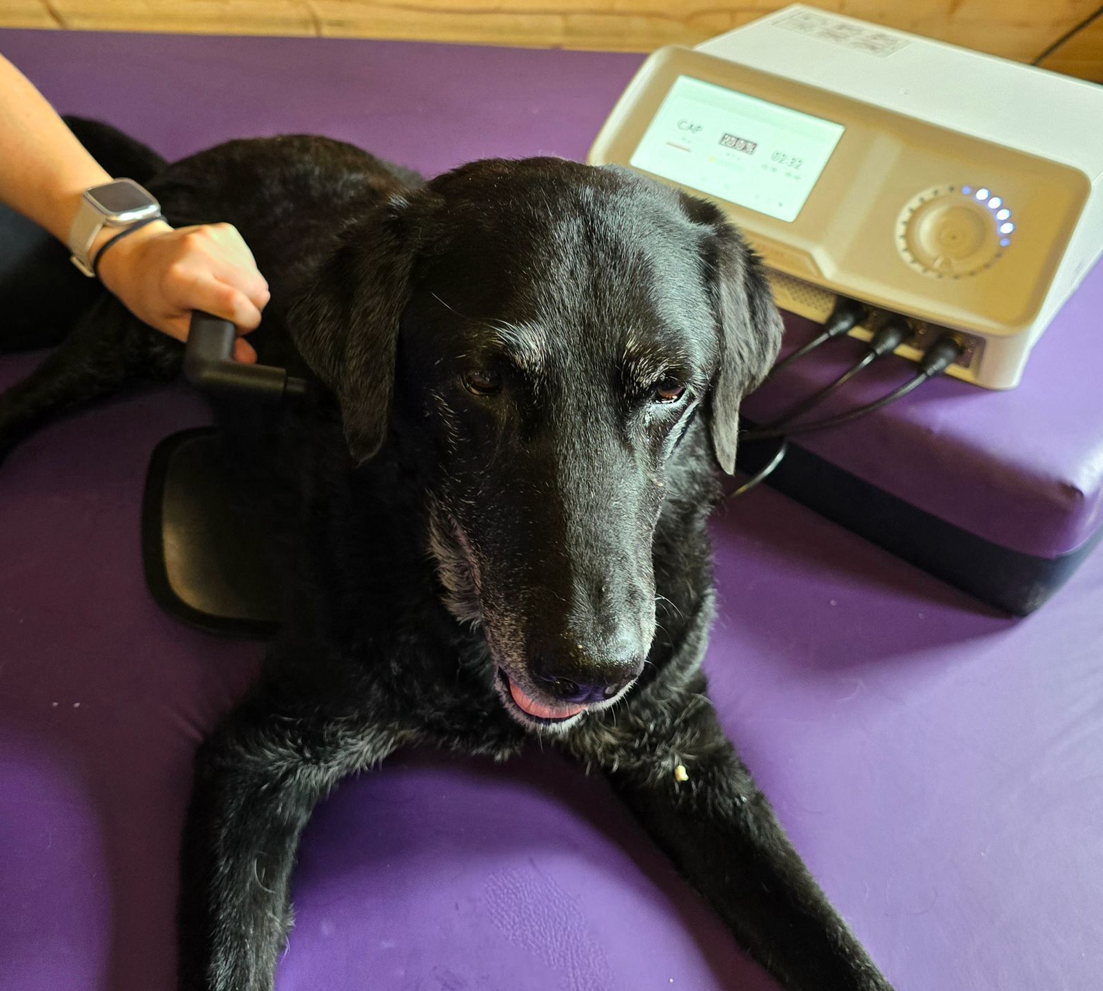 Radiofrequency Therapy